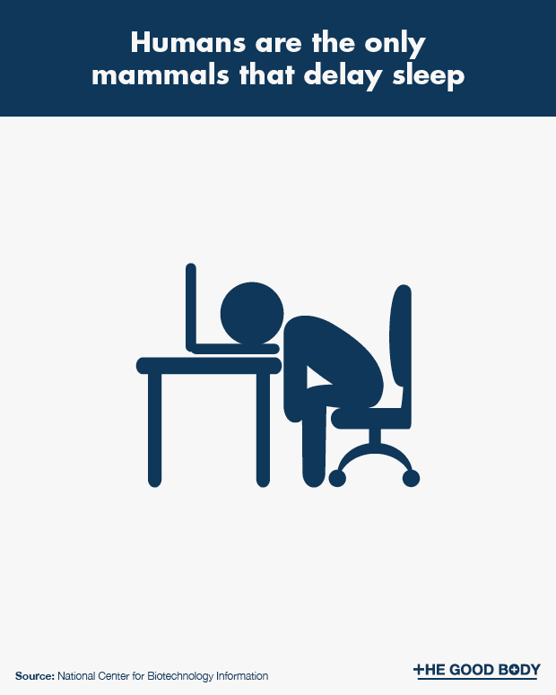 68 Surprising Sleep Facts Scary Important Interesting Fun - 