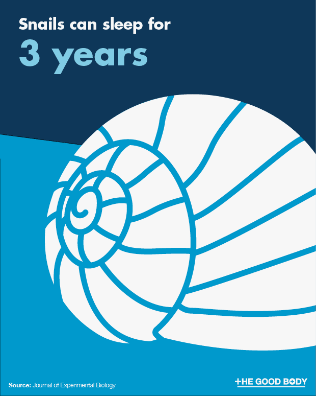 68 (Surprising) Sleep Facts Scary, Important, Interesting, Fun!