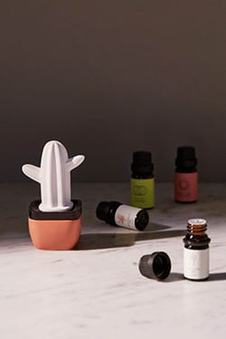 Top 12 Best Gifts For Health Nuts: What You Should Buy