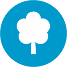 Benefit 3: Makes You More Environmentally Conscious