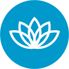 Benefit 16: Encourages Mindfulness