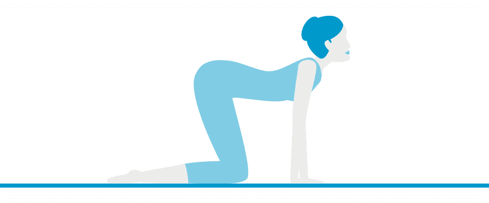 Pose 4: Cat – Cow (Marjaryasana / Bitilasana)