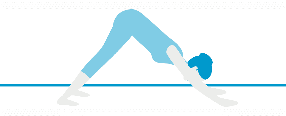 Pose 2: Downward Facing Dog (Adho Mukha Svanasana)