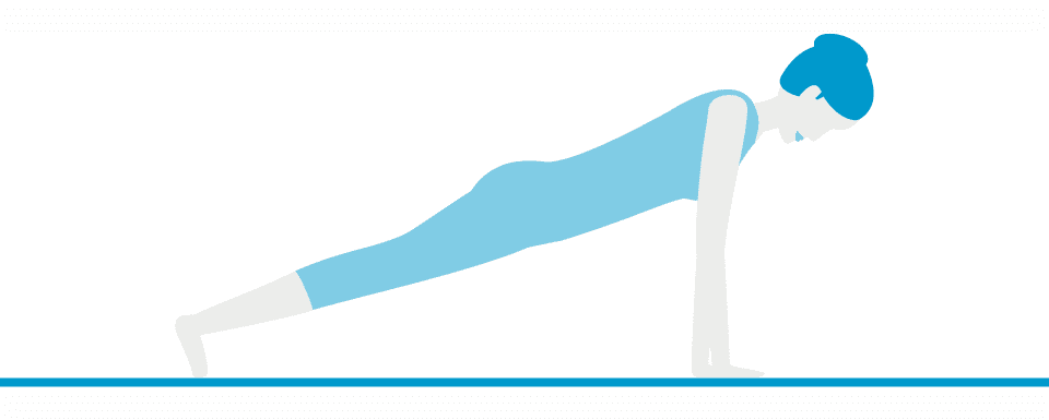 Pose 13: Plank Pose (Phalakasana)