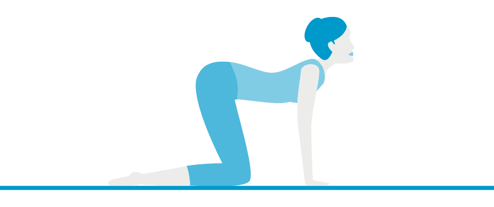 Pose 5: Cat-Cow (Chakravakasana)