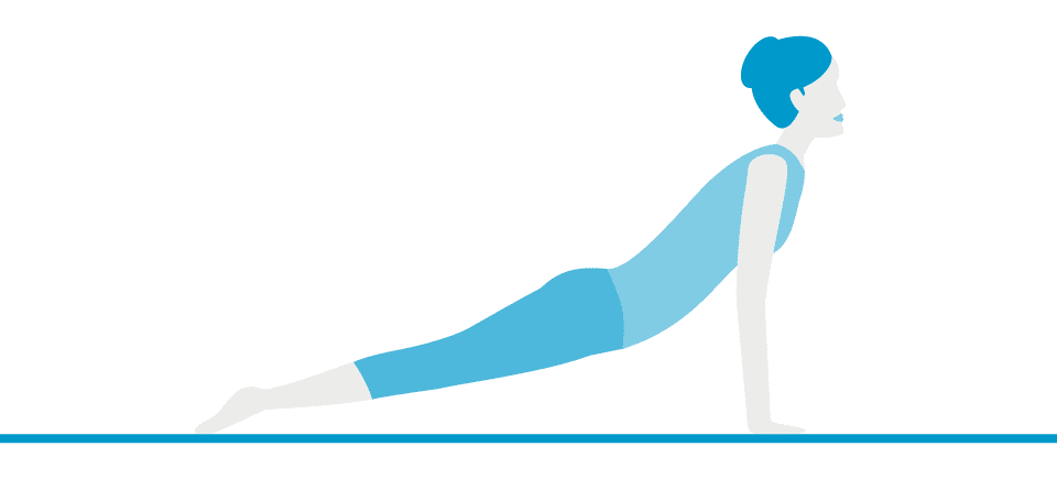 Pose 7: Upward Facing Dog (Urdhva Mukha Svanasana)