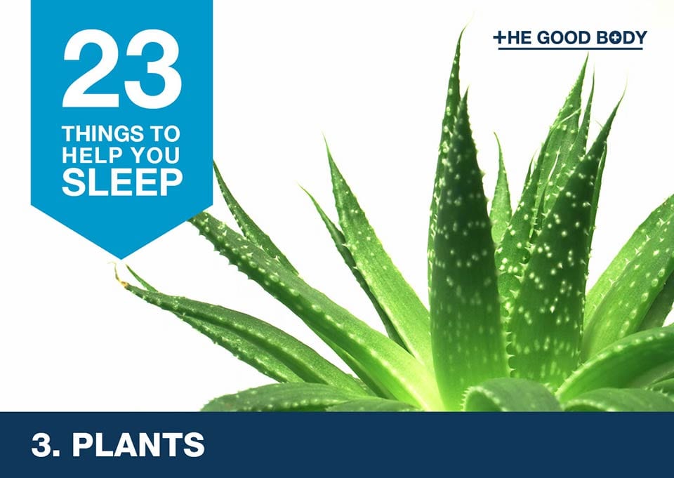 Plants to help you sleep