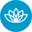 Benefit 4: Promotes Mindfulness