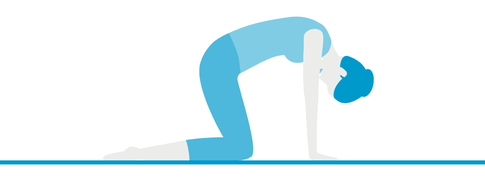 Pose 9: Cat (Marjaryasana)