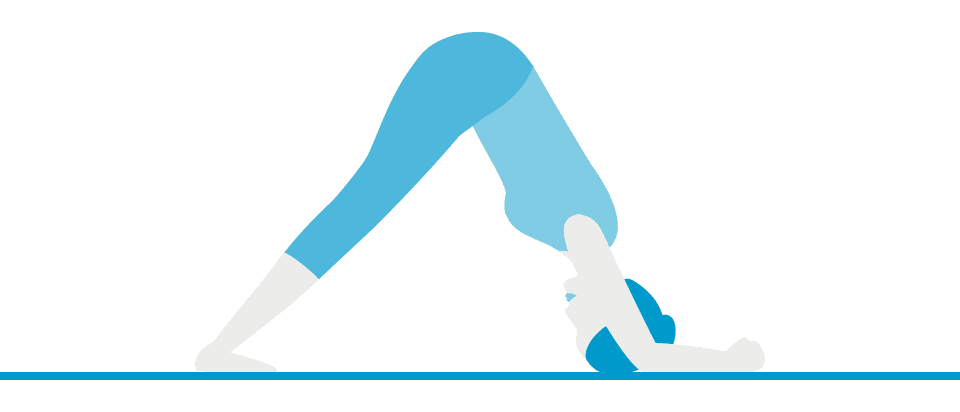 Pose 16: Dolphin Pose (Ardha Pincha Mayurasana)