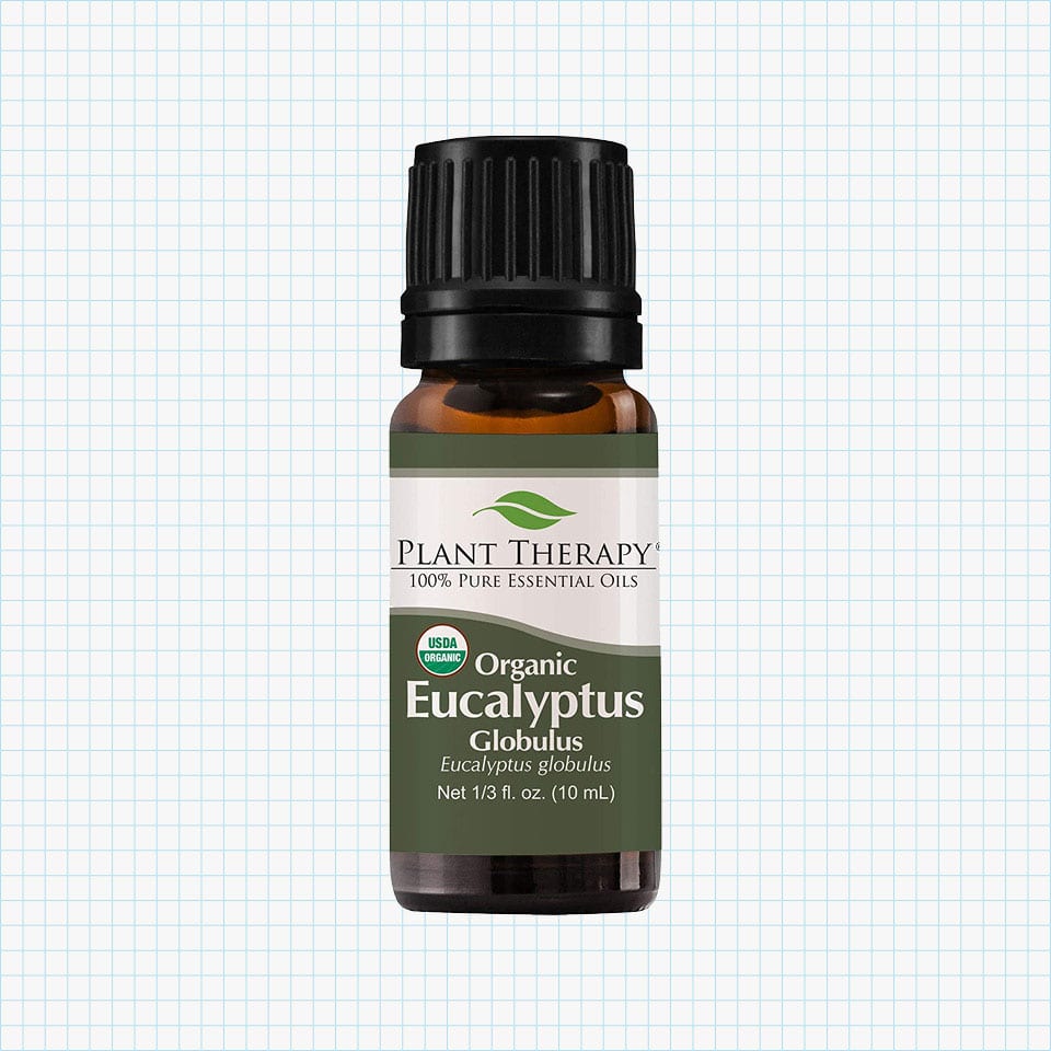 Plant Therapy Eucalyptus Organic Essential Oil