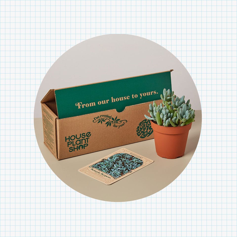 CrateJoy House Plant Box