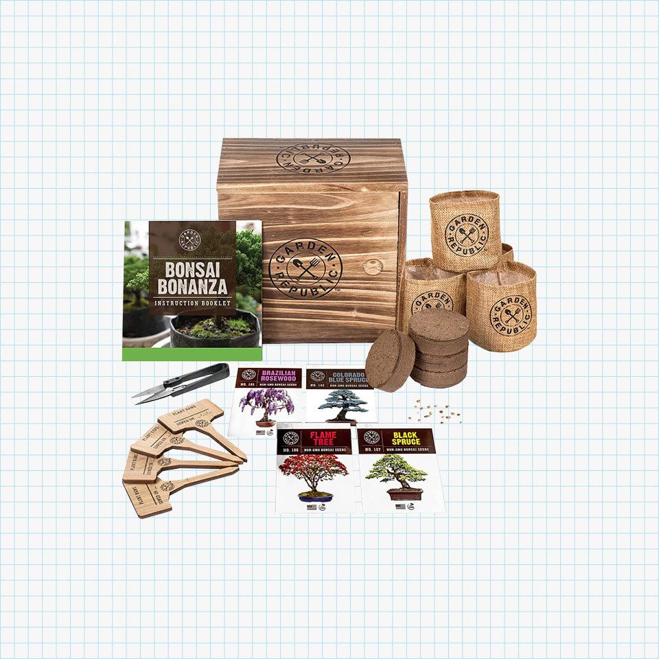 Bonsai Tree Seed Starter Kit