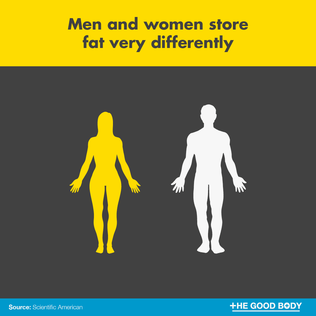 Men and women store fat very differently