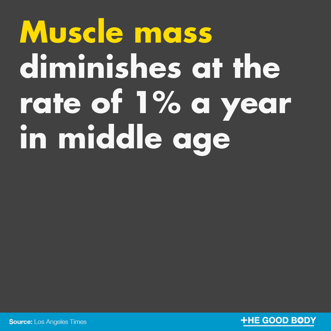 Muscle mass diminishes at the rate of 1% a year in middle age