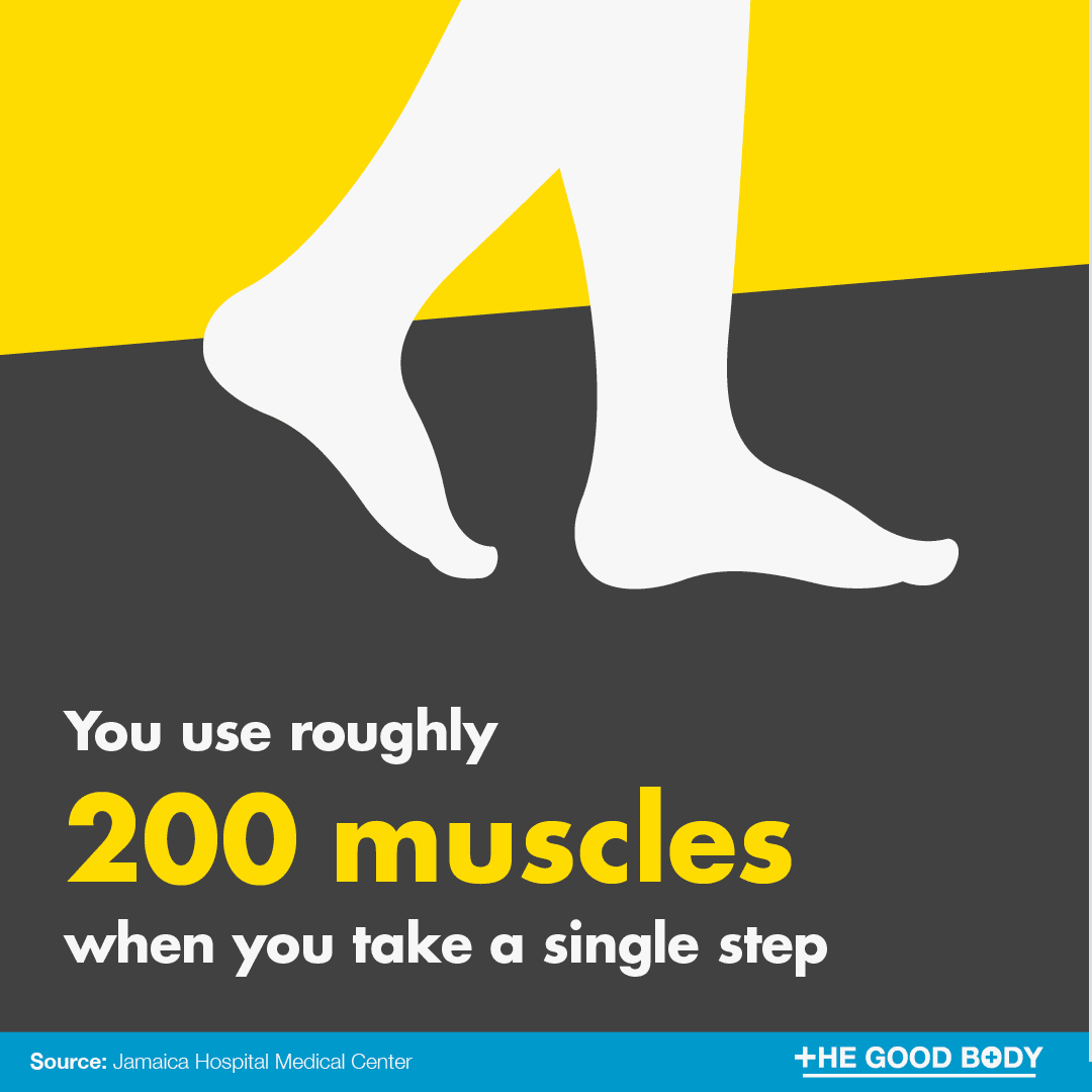 You use roughly 200 muscles when you take a single step