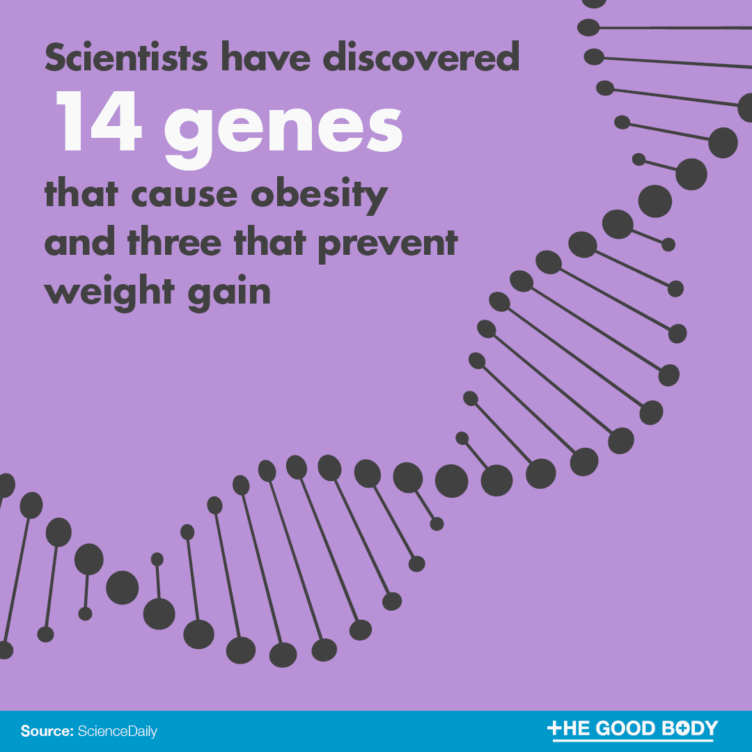 Scientists have discovered 14 genes that cause obesity and three that prevent weight gain