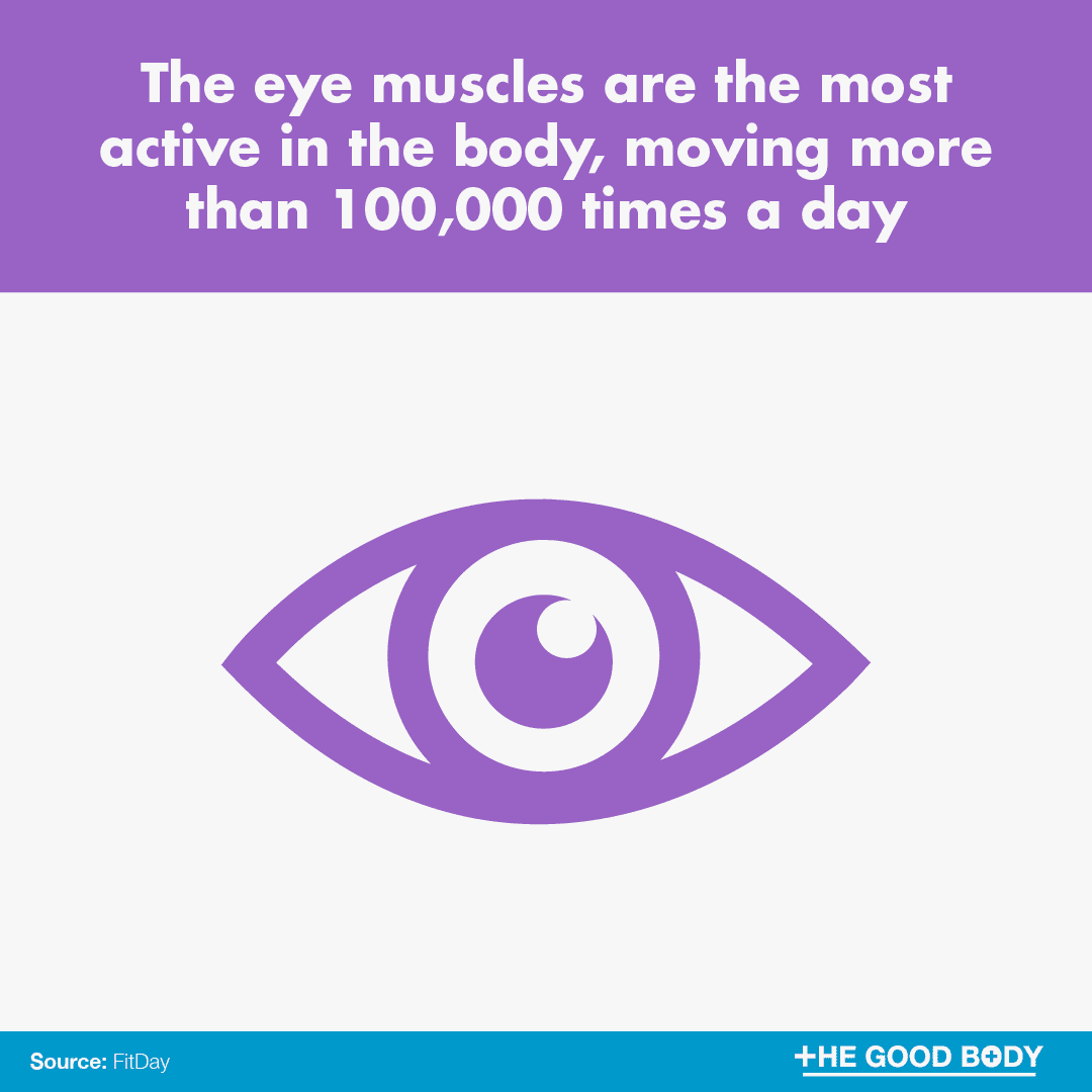 The eye muscles are the most active in the body, moving more than 100,000 times a day