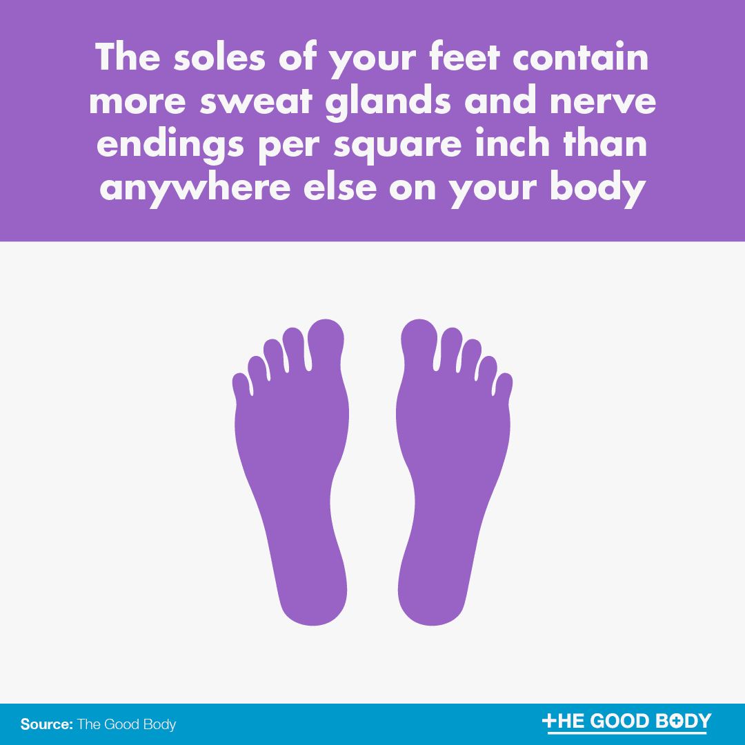 The soles of your feet contain more sweat glands and nerve endings per square inch than anywhere else on your body