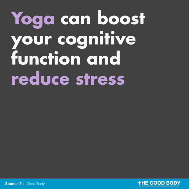 Fun (band) visual data 6