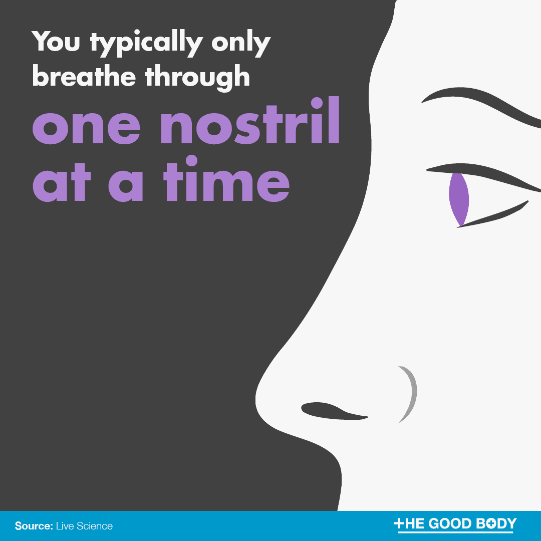 You typically only breathe through one nostril at a time