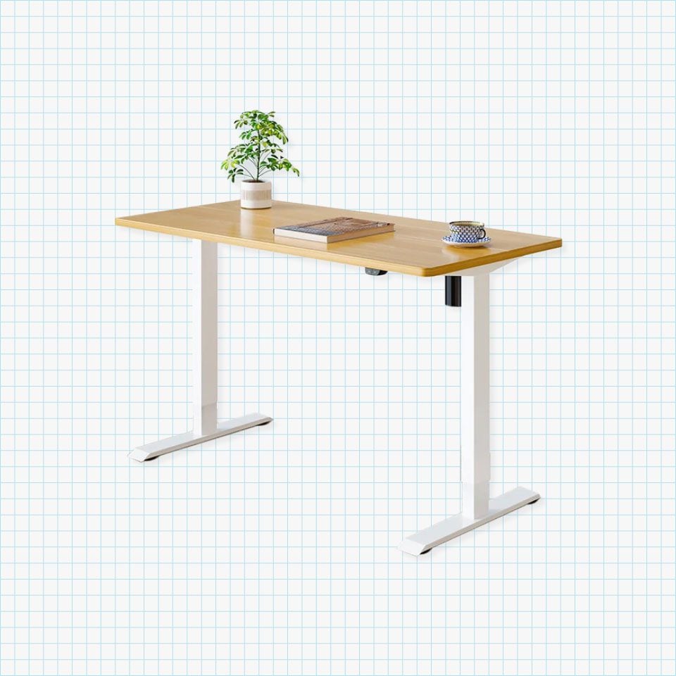 FlexiSpot Electric Height Adjustable Desk