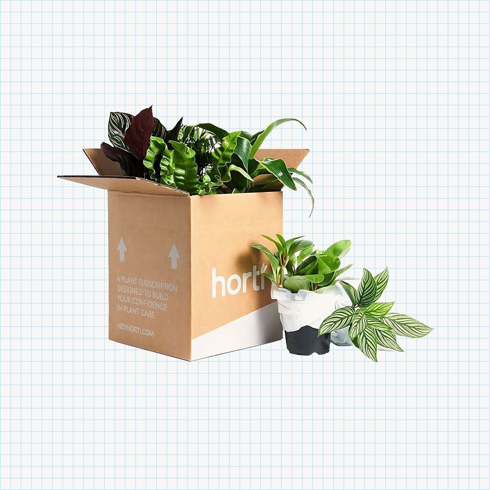 Horti Plant Subscription Box