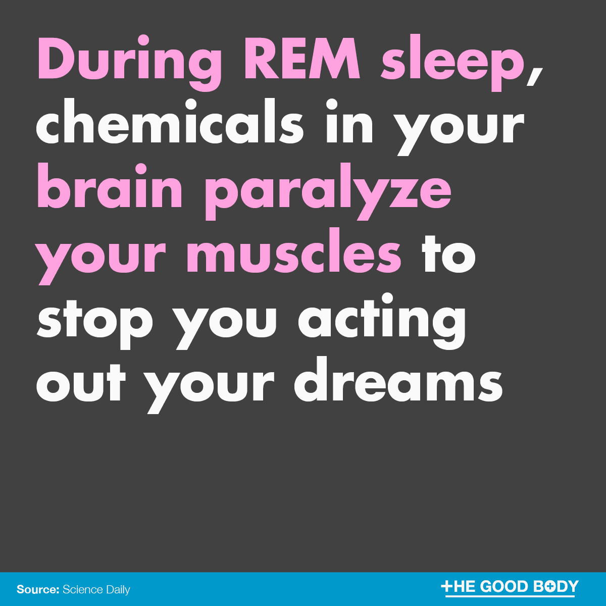 Infographic: During REM sleep, chemicals in your brain paralyze your muscles to stop you acting out your dreams