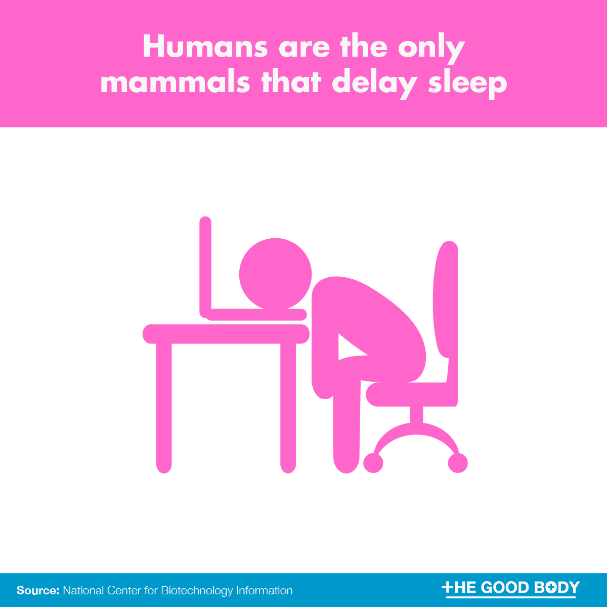 Infographic: Humans are the only mammals that delay sleep