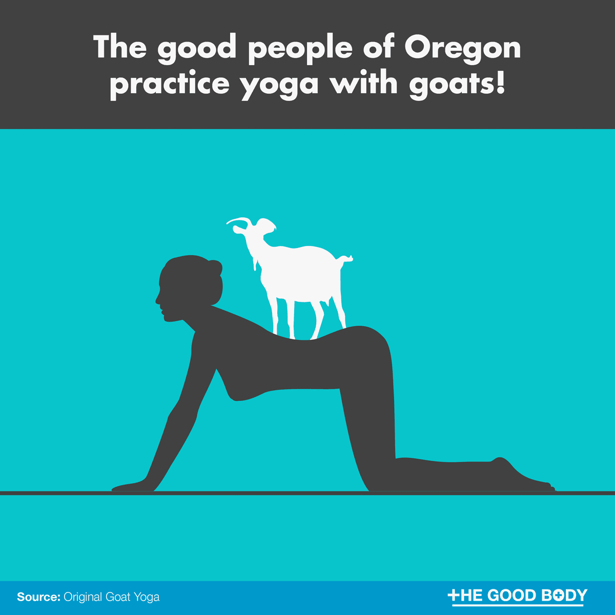 The good people of Oregon practice yoga with goats!