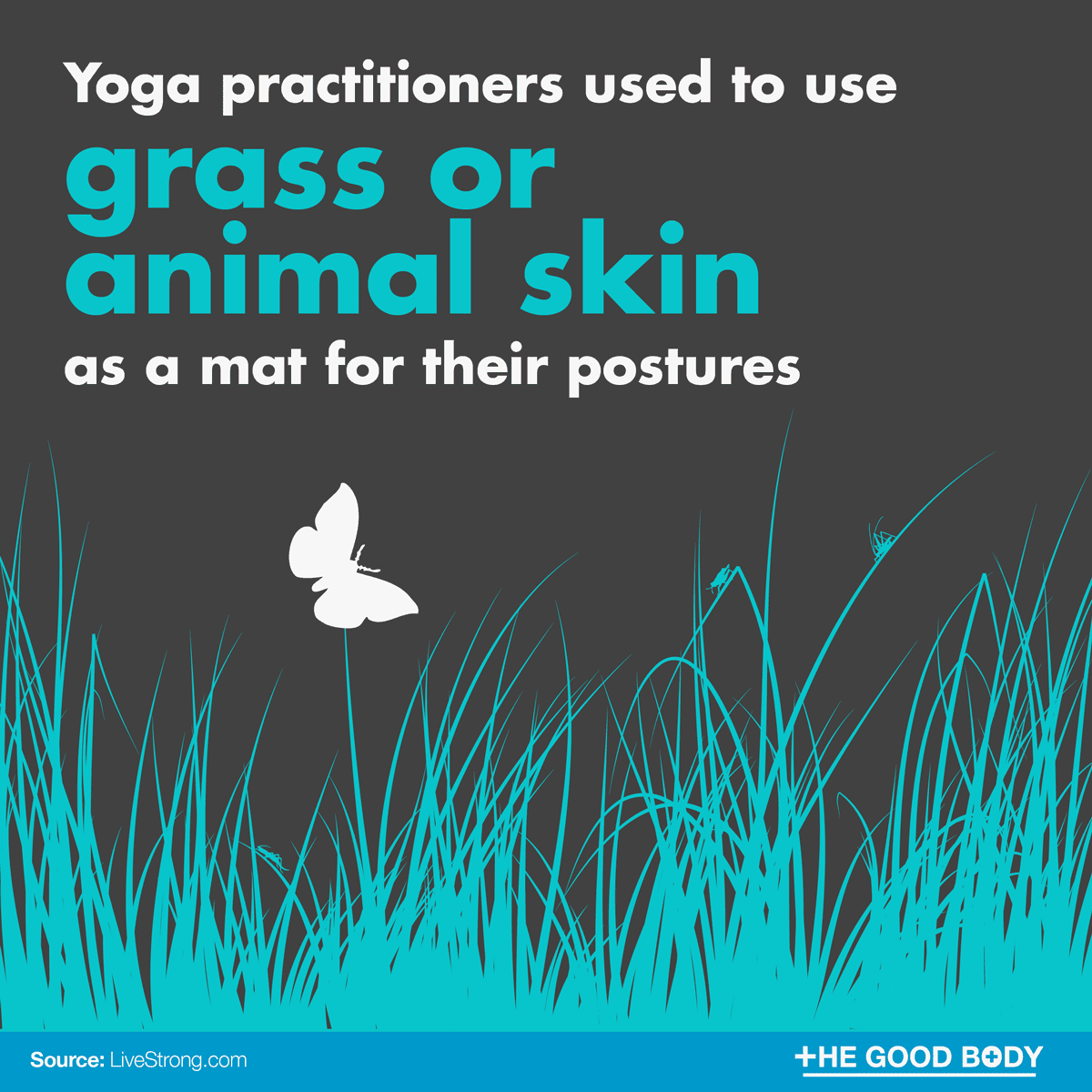 Yoga practitioners used to use grass or animal skin as a mat for their postures