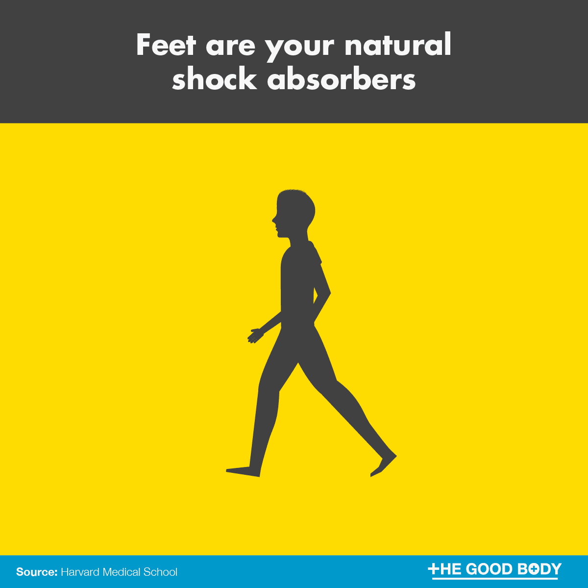 Feet are your natural shock absorbers