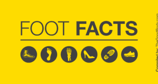 Foot Facts