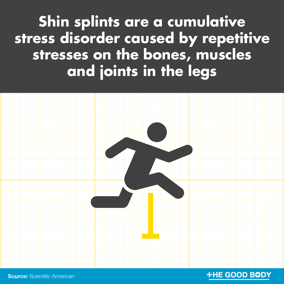 Shin splints are a cumulative stress disorder caused by repetitive stresses on the bones, muscles and joints in the legs