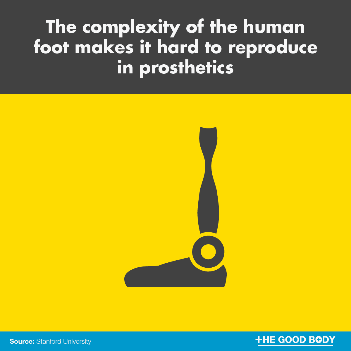 The complexity of the human foot makes it hard to reproduce in prosthetics