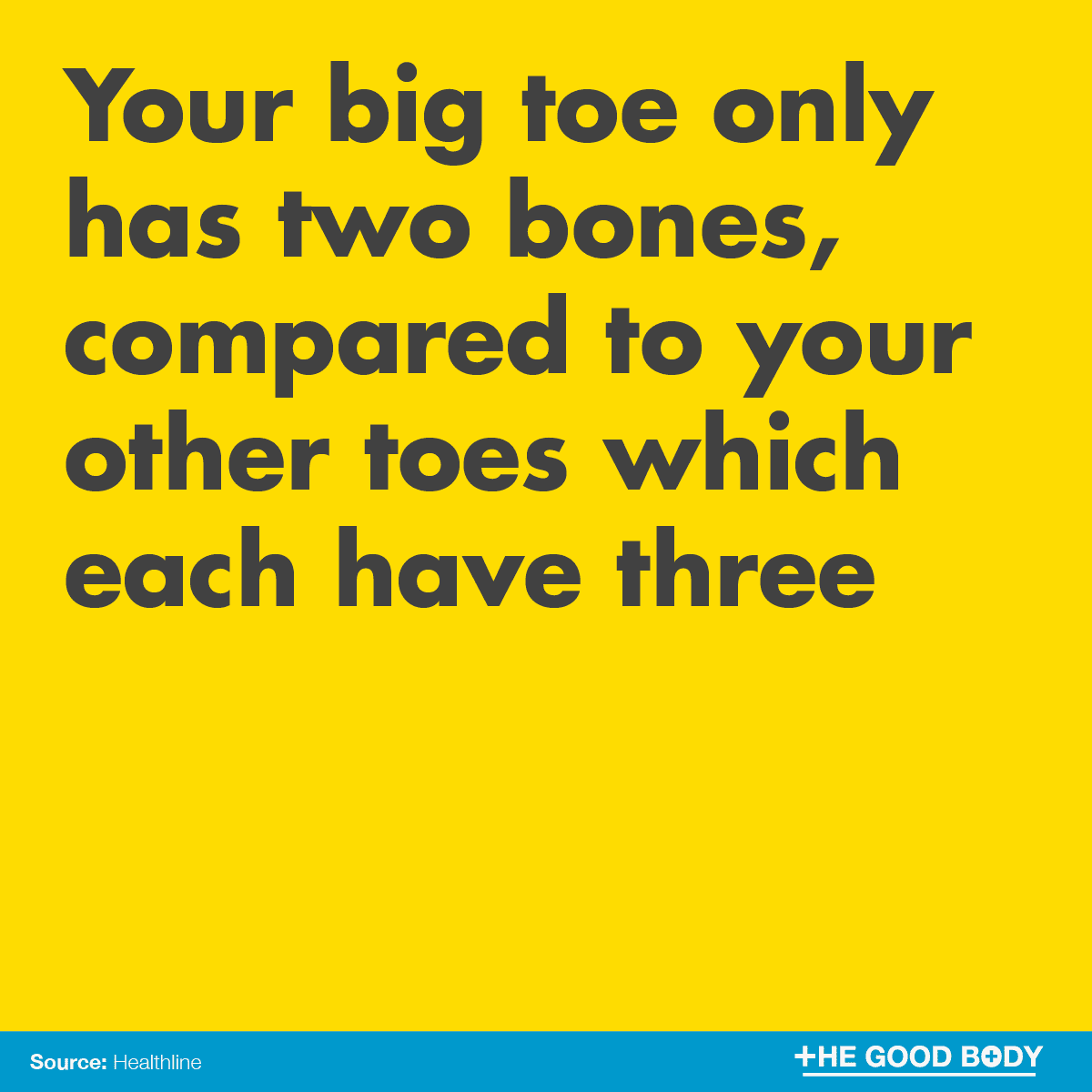 Your big toe only has two bones, compared to your other toes which each have three