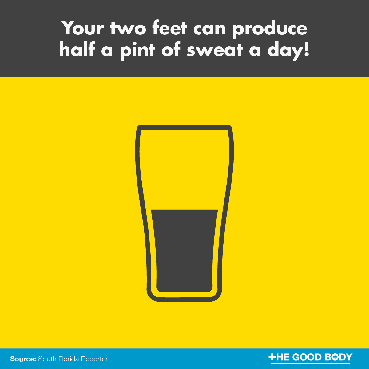 Your two feet can produce half a pint of sweat a day!