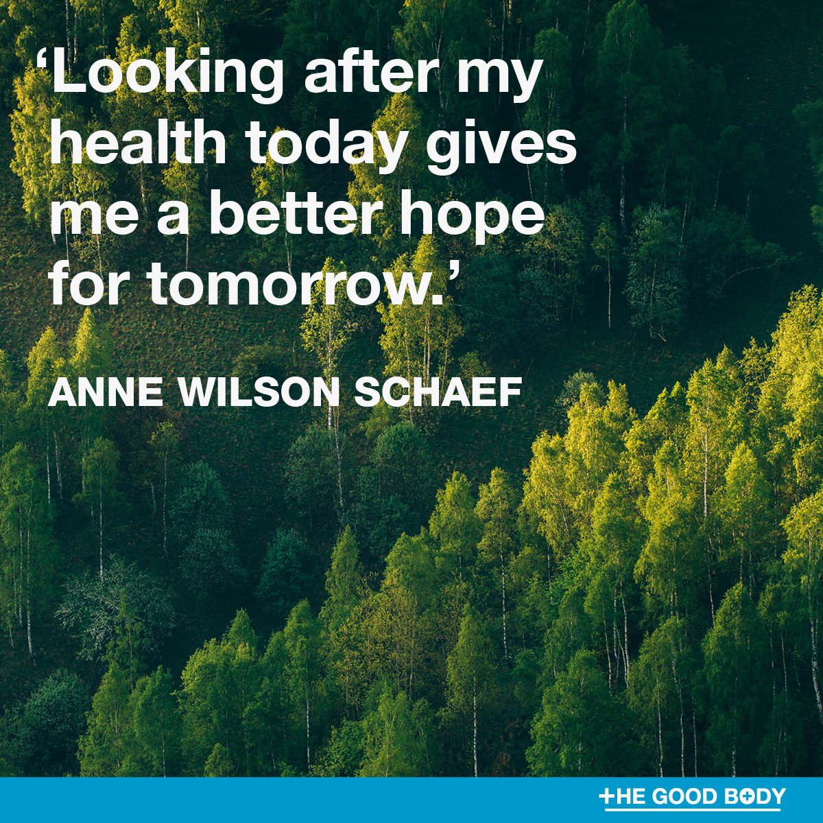 Inspirational Health Quotes #6 by Anne Wilson Schaef