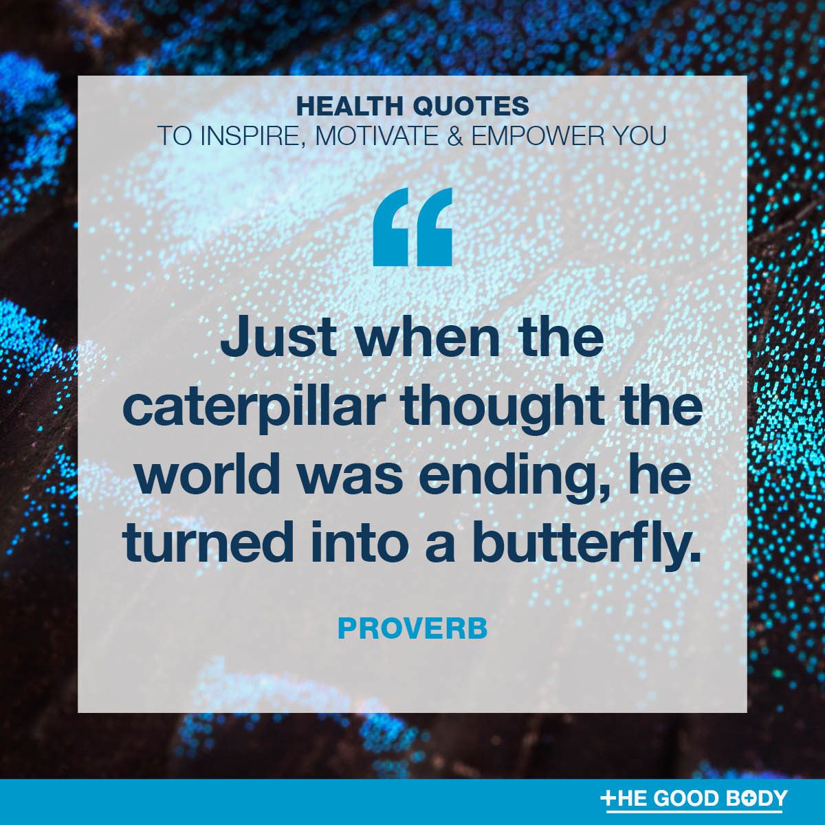 Motivational Mental Health Quotes #8 by Proverb