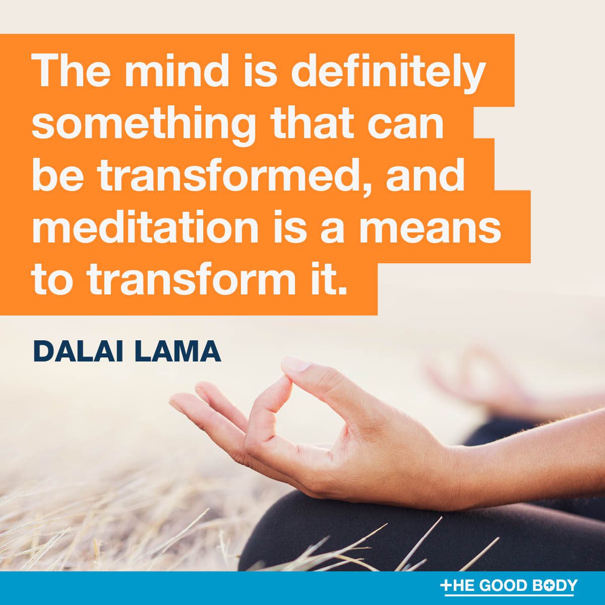 Positive Mindset Quotes #3 by Dalai Lama