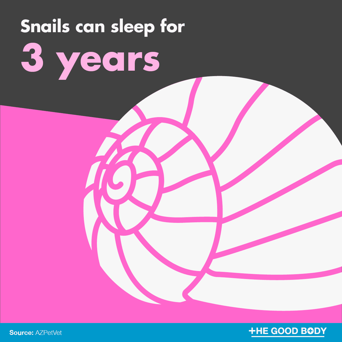 Snails can sleep for three years