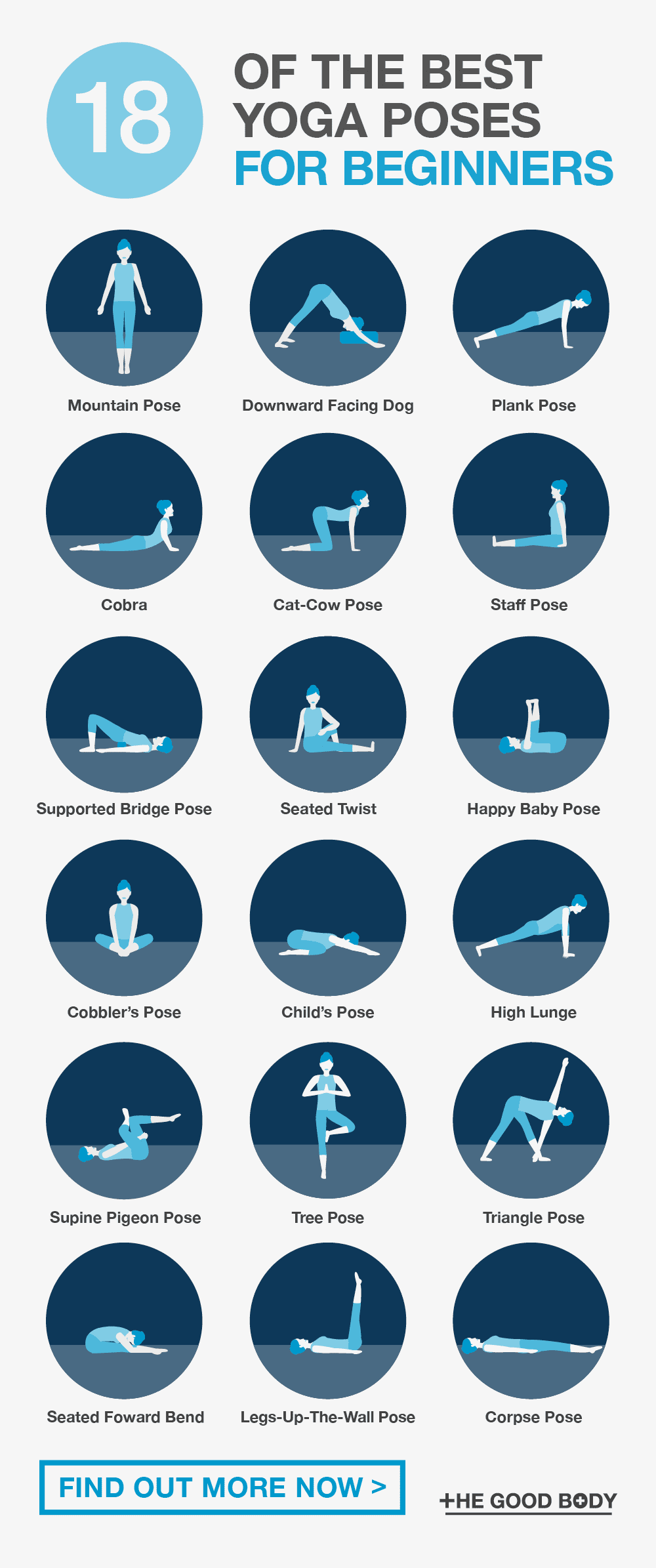 Yoga Poses for Beginners Pin Image