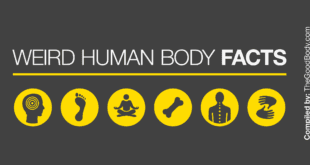 Underlined title ’Weird Human Body Facts' followed by six circular anatomical pictograms